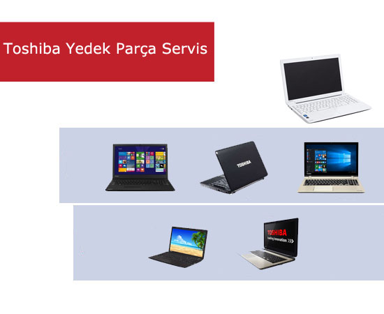 Toshiba Laptop Servisi Destek Hizmeti